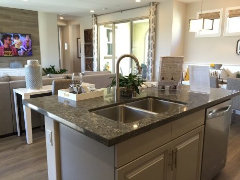 Just like all new homes, the large island counter dominates the kitchen.